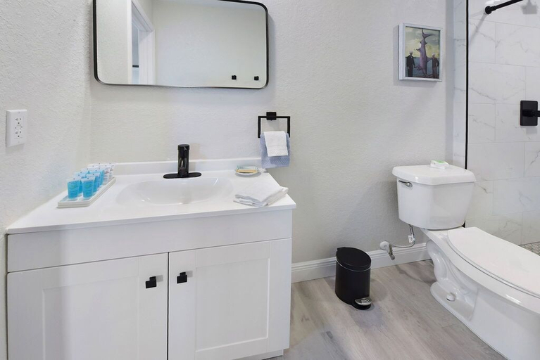 Bathroom 4, Palm Cove Motel, Pinellas