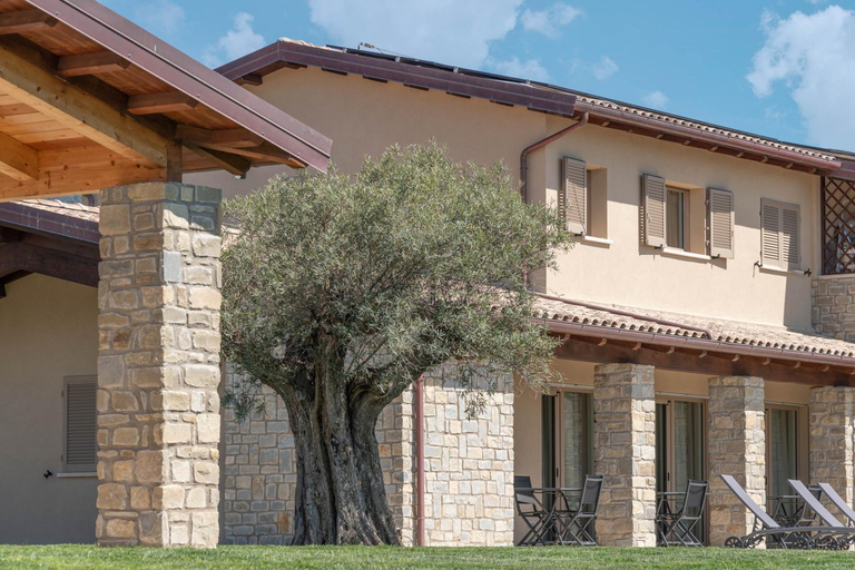 Others 4, Casa vacanze Le Querce, Grosseto