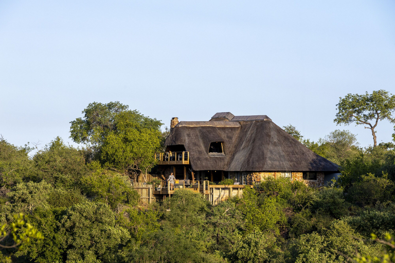 Exterior & Views, Simbavati Mvubu, Ehlanzeni