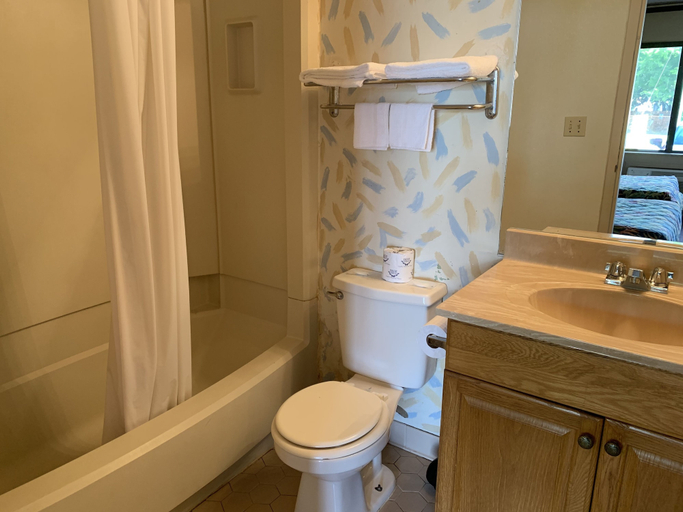 Bathroom 4, MacThrift Motor Inn, Virginia Beach