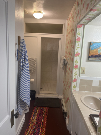 Bathroom 3, Springer Station, Colfax