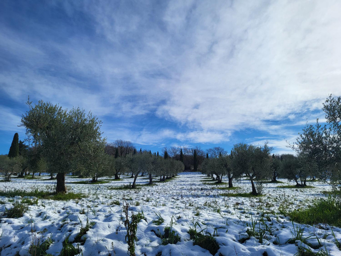 Others 4, Palazzetto del Pittore in San Quirico d'Orcia, Siena