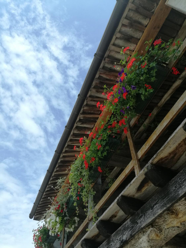 Others 5, B&B La casa di Loretta, Belluno