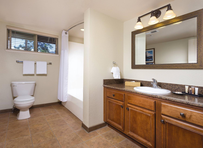 Bathroom, WorldMark South Shore, Douglas