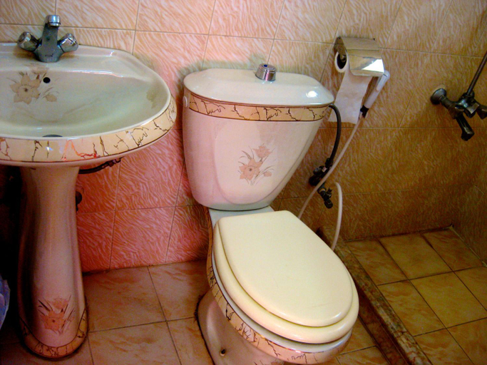 Bathroom, Valentine Inn, Wadi Musa