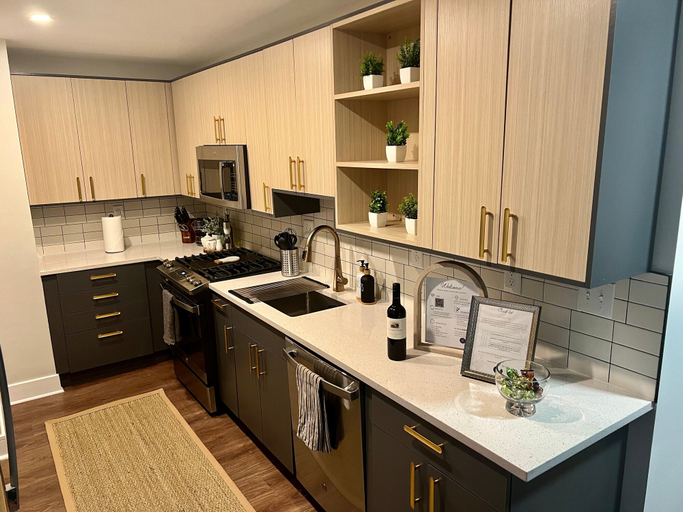 Others 4, ComfyGetaway by DC,Metro,Airport, Arlington