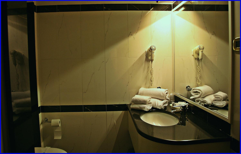 Bathroom 3, Hotel Meeting, Rome