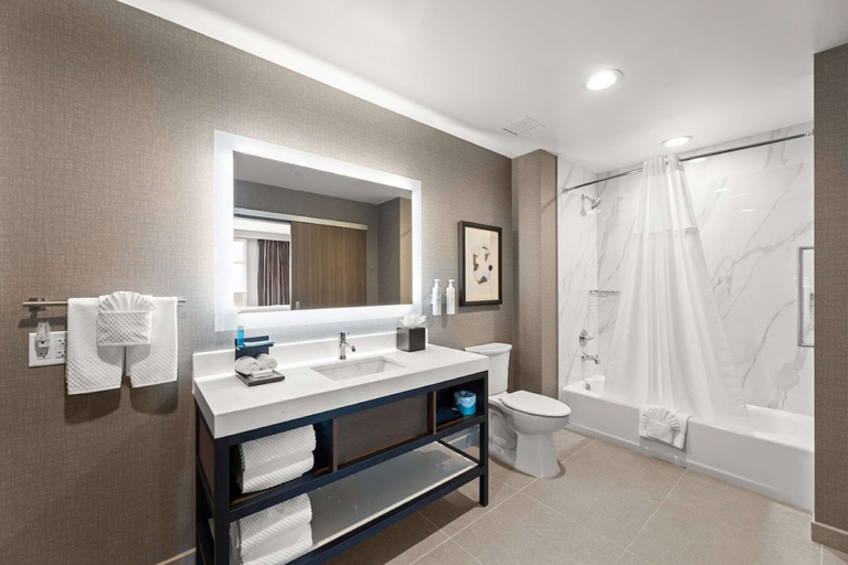 Bathroom 4, Embassy Suites by Hilton Irving Las Colinas, Irving