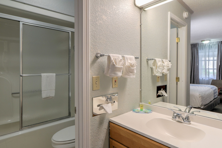 Bathroom 4, Belle Aire Motel, Sevier