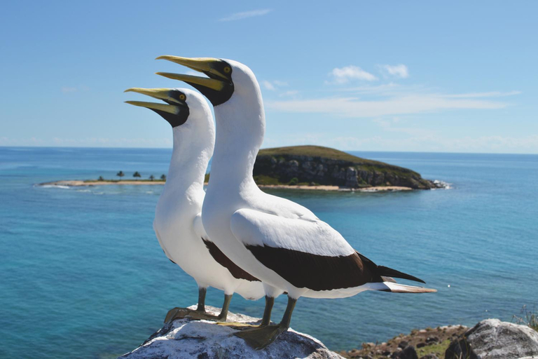 Others 4, pousada corais de abrolhos, Caravelas
