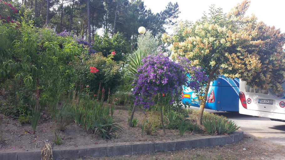 Others 3, Hospedaria D. Fernando, Viseu