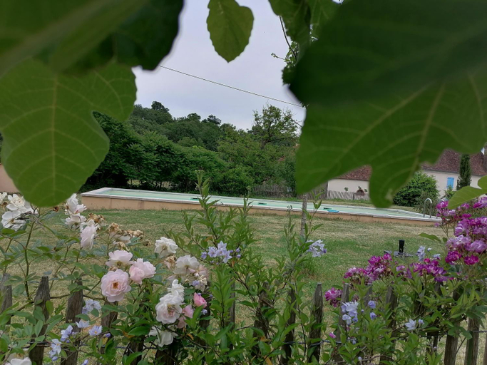 Others 5, Maison de l Eveque d'Ozenx, Pyrénées-Atlantiques