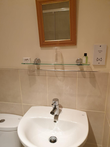 Bathroom 3, the old red lion, Somerset