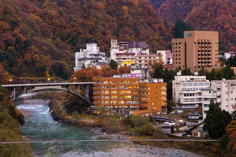 Exterior & Views 1, Kurobe・UnazukiOnsen Togen, Kurobe