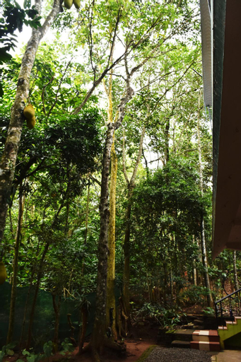 Scenery 4