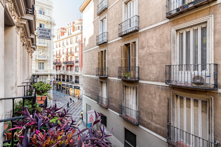 Others 3, Arenal Adagio Apartment, Madrid