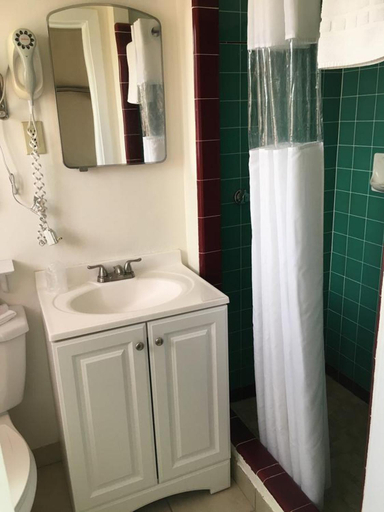 Bathroom 4, The Monticello Inn, San Juan
