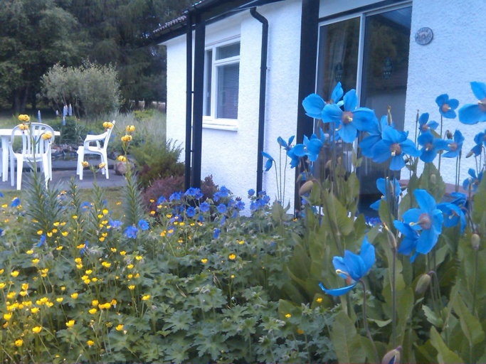 Others 3, Dalkell Cottages, Stirling
