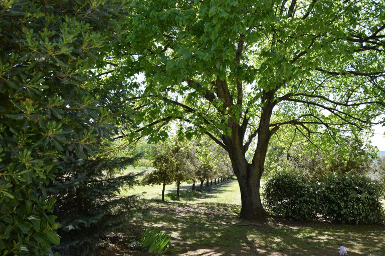 Others 5, Hotel et SPA des sources du gros noyer, Vaucluse