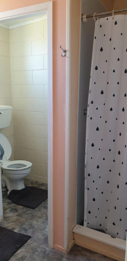 Bathroom, Roadside Motel, Ruapehu