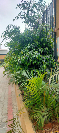 Others 5, Hotel PSR Executive Rooms by VINHOTELS, Bangalore