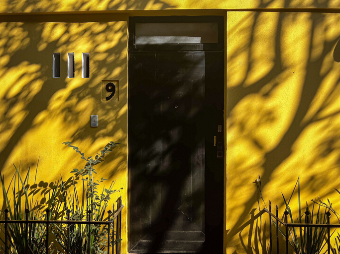 Others 4, Discover Condesa, Mexico City