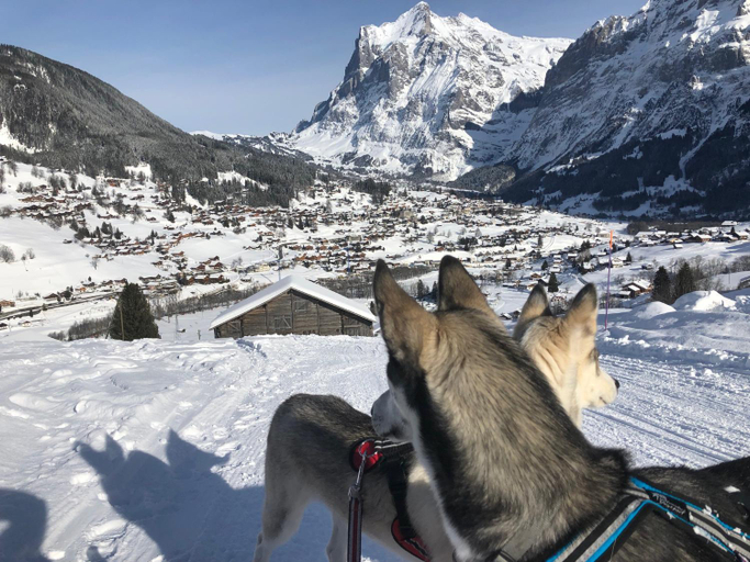 Others 2, Chalet CARVE - Apartments EIGER, MOENCH and JUNGFRAU, Interlaken