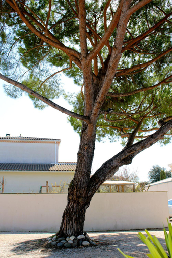 Others 5, Villa la Dunette & spa, Charente-Maritime