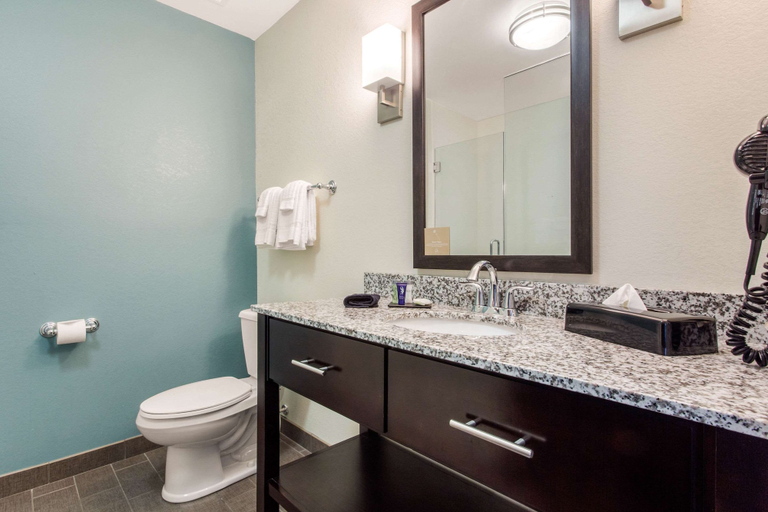 Bathroom 4, Sleep Inn & Suites Middletown - Goshen, Orange