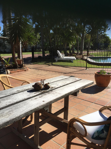 Others 3, Sandy toes, Livingstone - Pt B