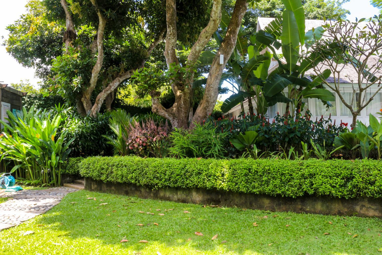 Others 5, Chanteak Bali - White House 1, Badung