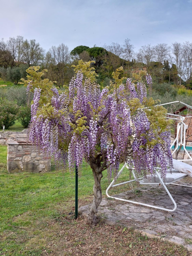 Others 5, Agriturismo Camera Rosa, Perugia