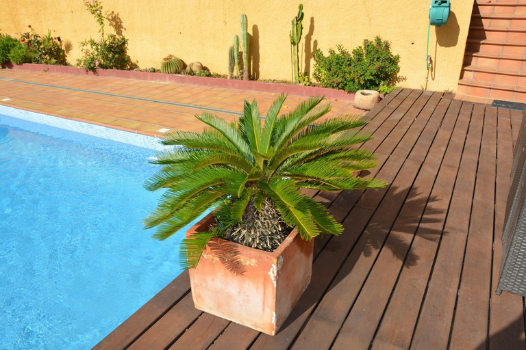 Others 3, Villa Sitges Maria Sunny Oriented SW AC Confortable High Quality 5 star guest coments, Barcelona