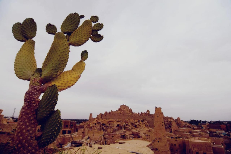 Others 5, NaInshal Siwa, Siwa