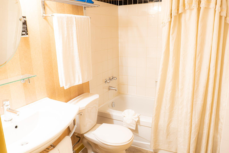 Bathroom 3, Swans Brewery, Pub and Hotel, Capital