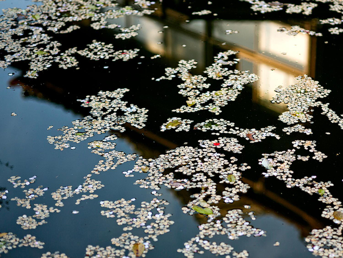 Sport & Beauty 2, Ryokan Nanten-en, Kawachinagano