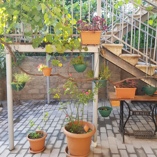 Others 4, Домик у Куры, Tbilisi