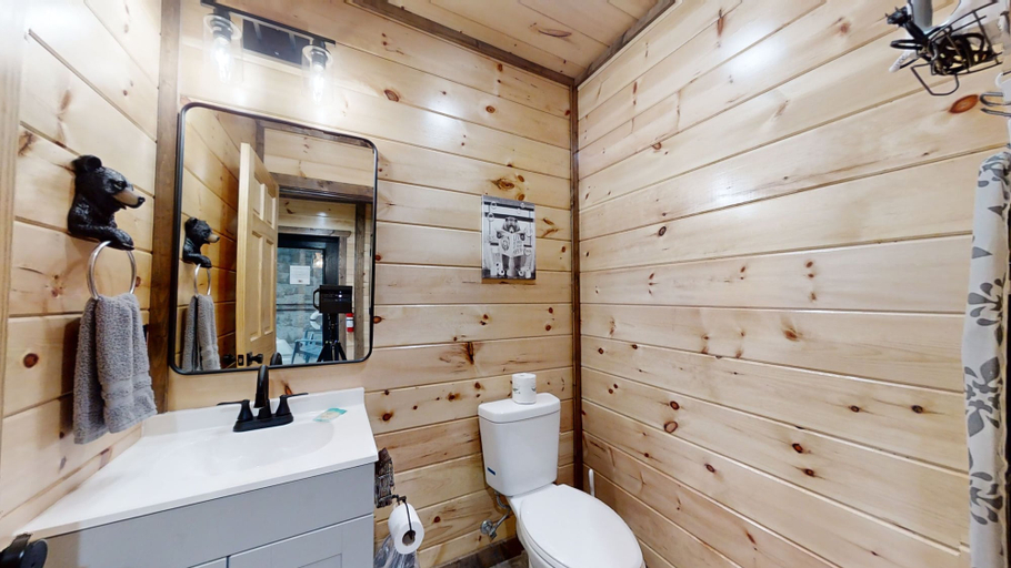 Bathroom 4, Bearly Dippin, Sevier