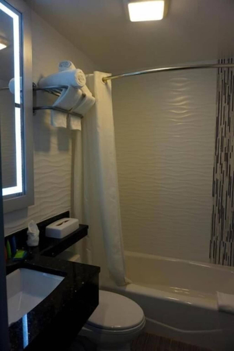 Bathroom 5, Umbrella Hotel, New York