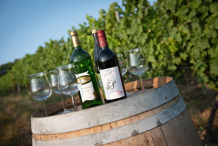 Food & Drinks 5, Weinschloßchen im Weingut Roos, Donnersbergkreis