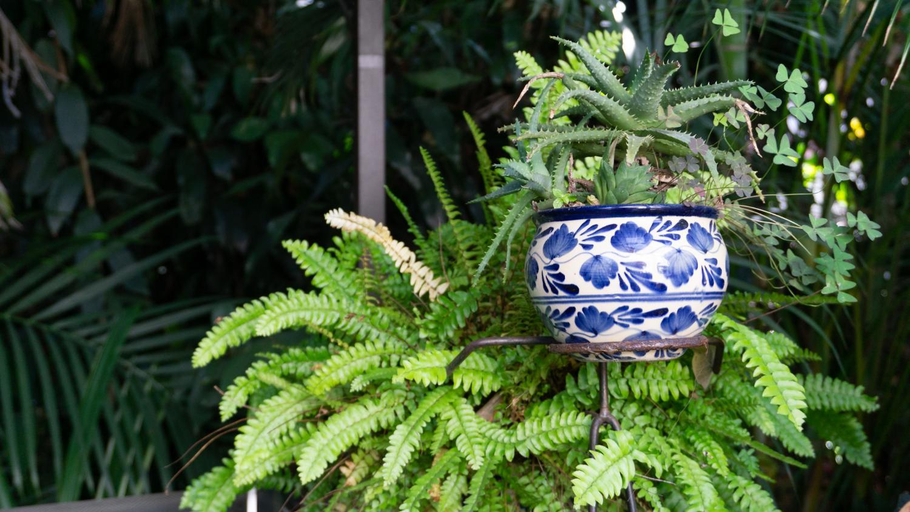 Others 2, El Jardin del Eden B&B Boutique, Cuernavaca