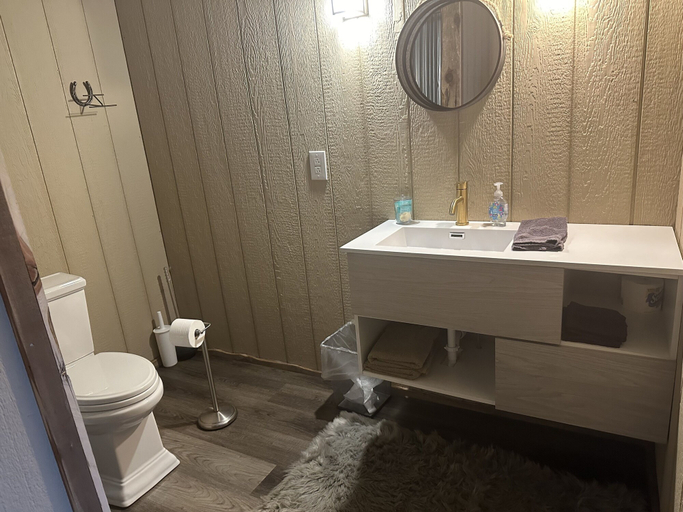 Bathroom 3, 3547 Pleasant Run Rd, Lawrence