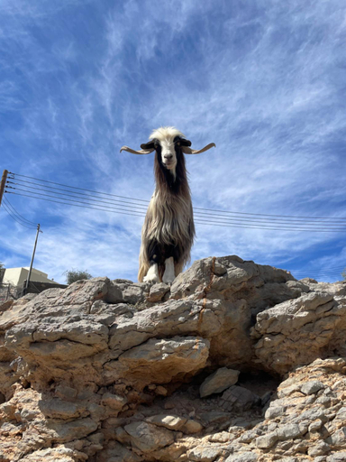Others 3, Balcony walk rest house Jabal shams, Al Hamra
