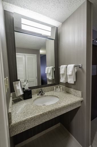 Bathroom 4, Courtyard by Marriott Cleveland Willoughby, Lake