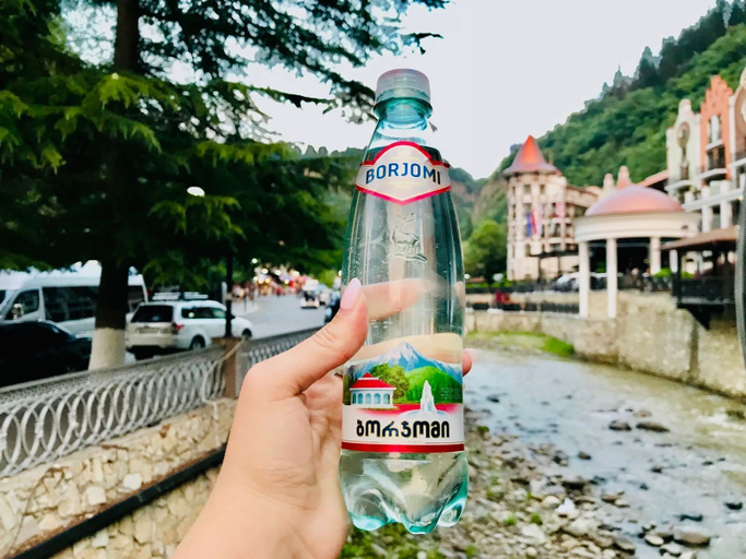 Food & Drinks 5, Holiday Borjomi, Borjomi