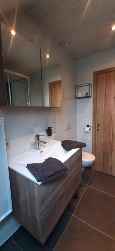 Bathroom 3, Vakantiewoning Victors Hof tot 4 pers, Oost-Vlaanderen