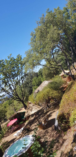 Others 3, La lyalis, Var