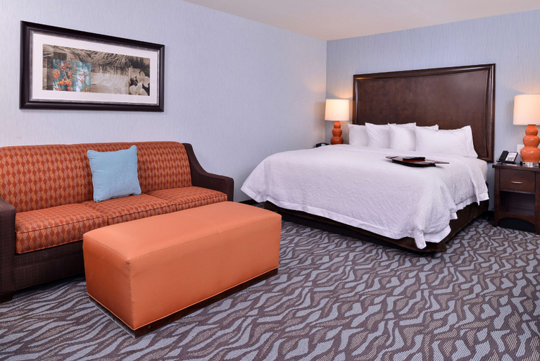 Bedroom 4, Hampton Inn Potsdam, NY, Saint Lawrence