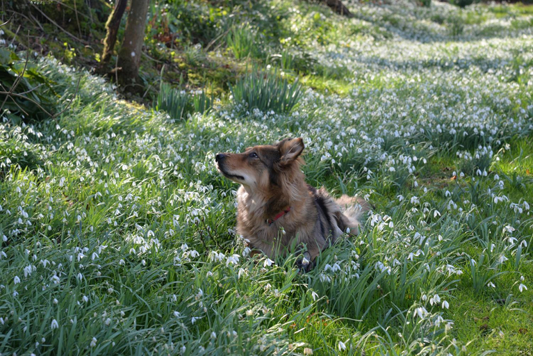 Others 3, Thatchcombe B&B, Oxfordshire