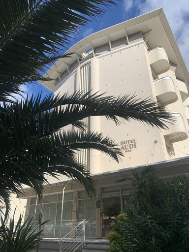 Exterior & Views 1, Hotel Audi Frontemare, Rimini